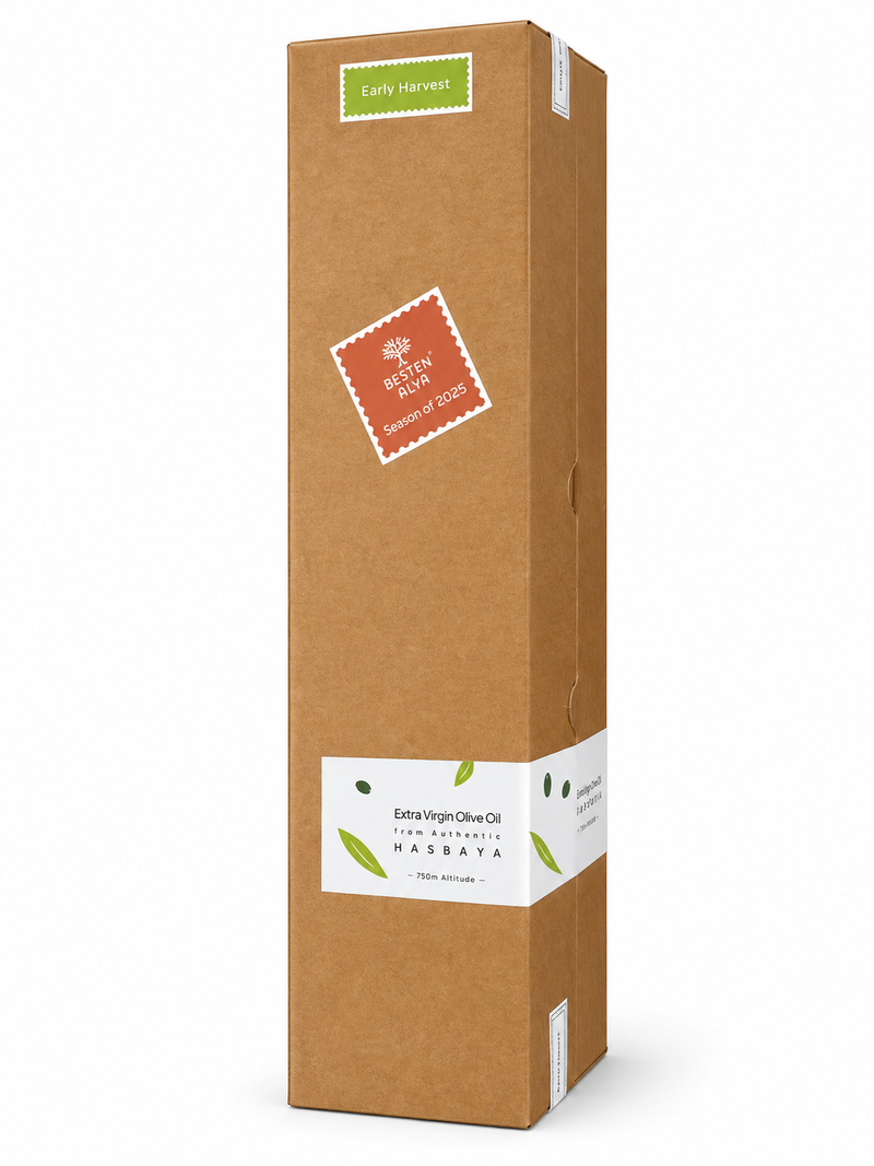 Besten Alya - Signature Gift Edition